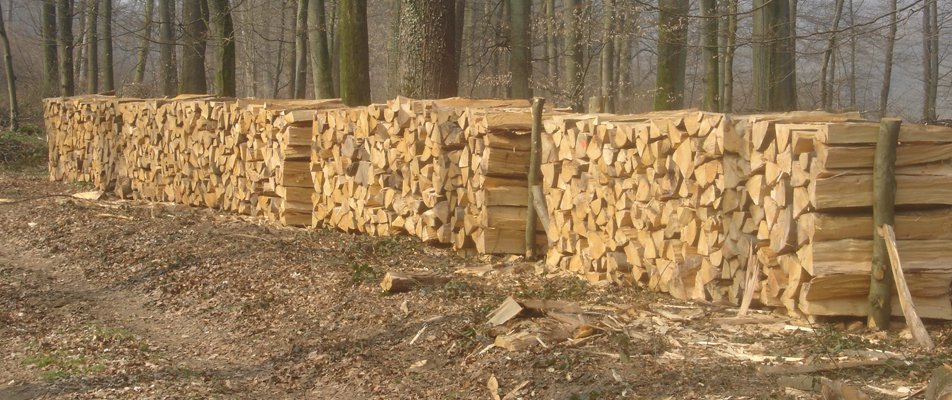 Bois de chauffage